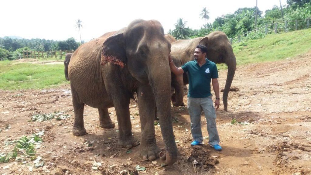 nature-clubs-enviornment-programms-sudath-abeysinghe