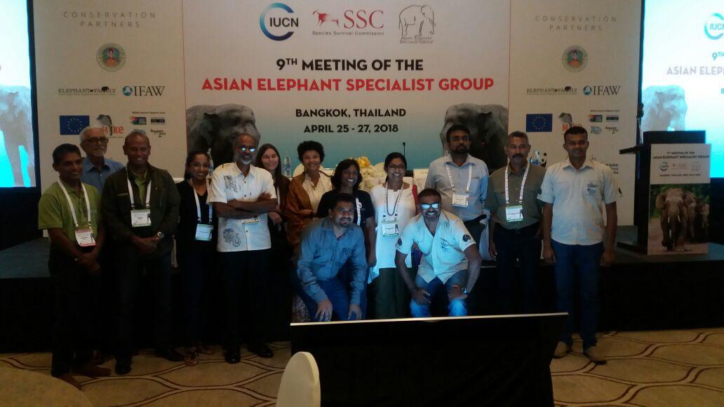 sudath-abeysinghe-elephant-conservation_18